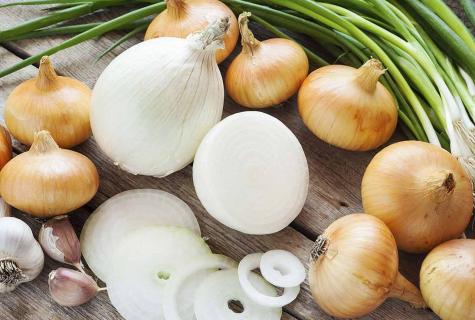 Red onions: advantage and harm for a human body