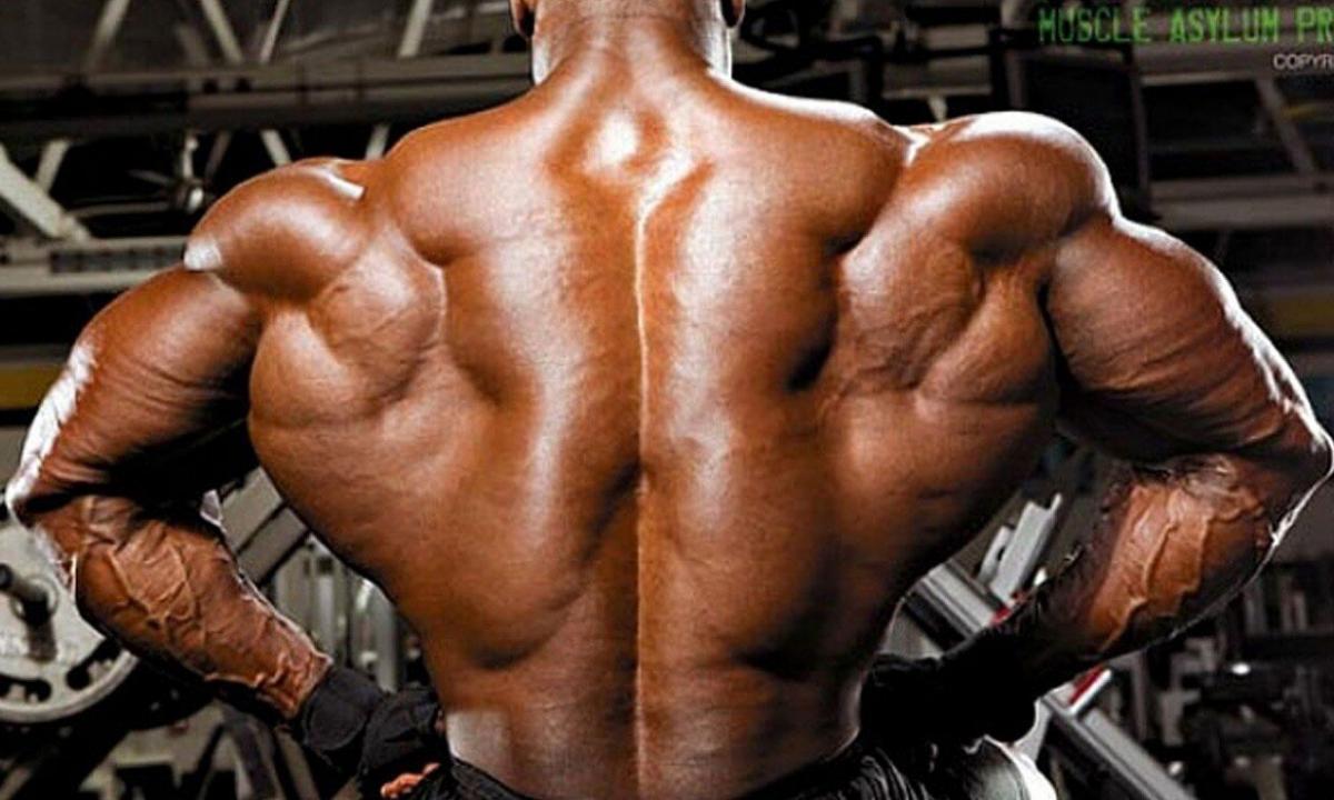 The best exercises for trapezoid muscles of a back