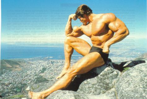 Arnold Schwarzenegger: body building - all this.