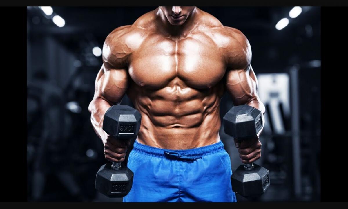 Insulin and bodybuilding: action, reception, course