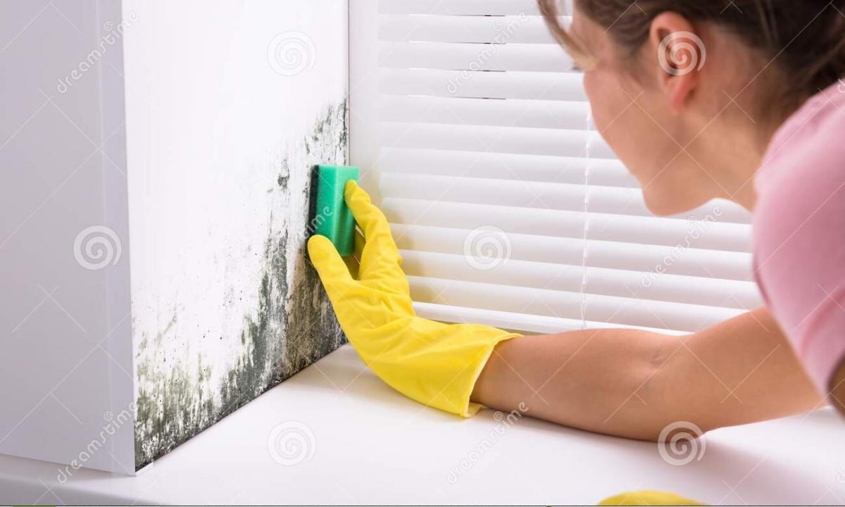 How to get rid of a mold in the house"