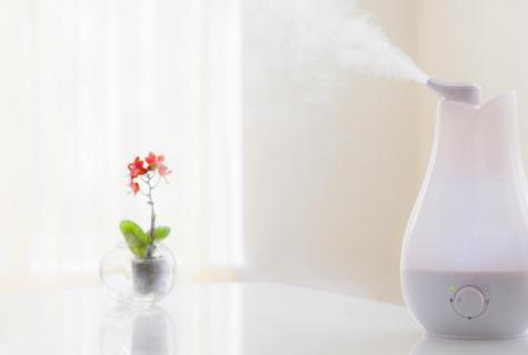 Why the humidifier is necessary