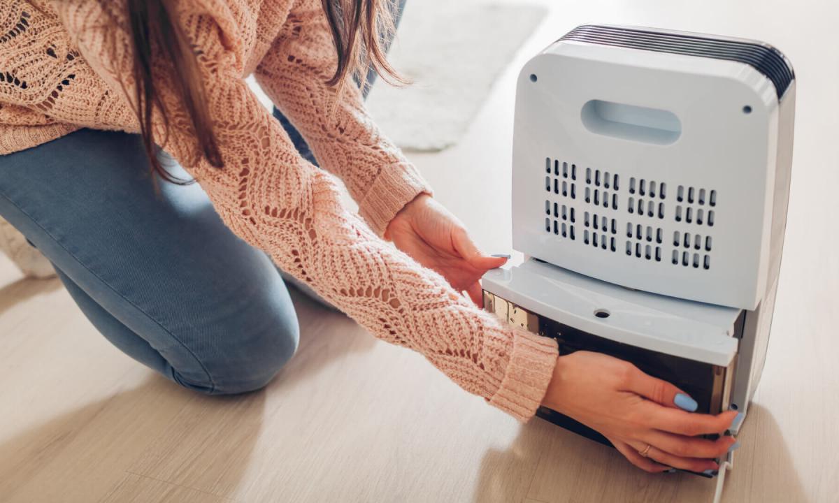 How to purify air in the apartment