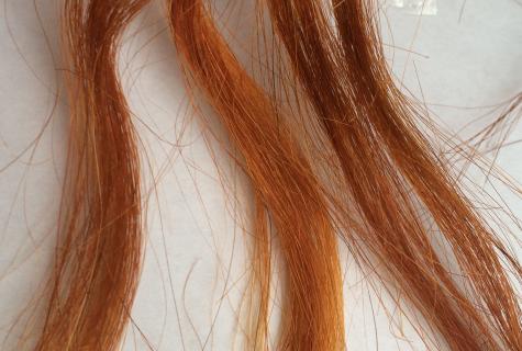 Coloring of hair henna: advantage or harm?