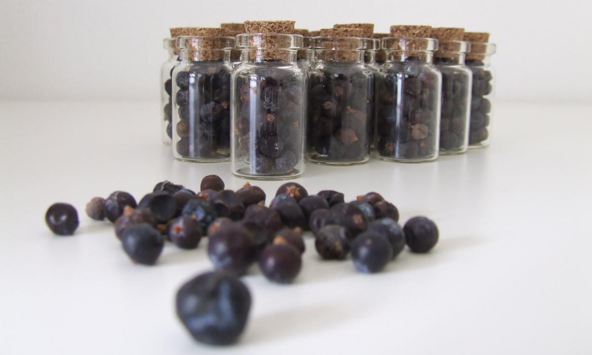 Juniper oil: for what it is useful how to use