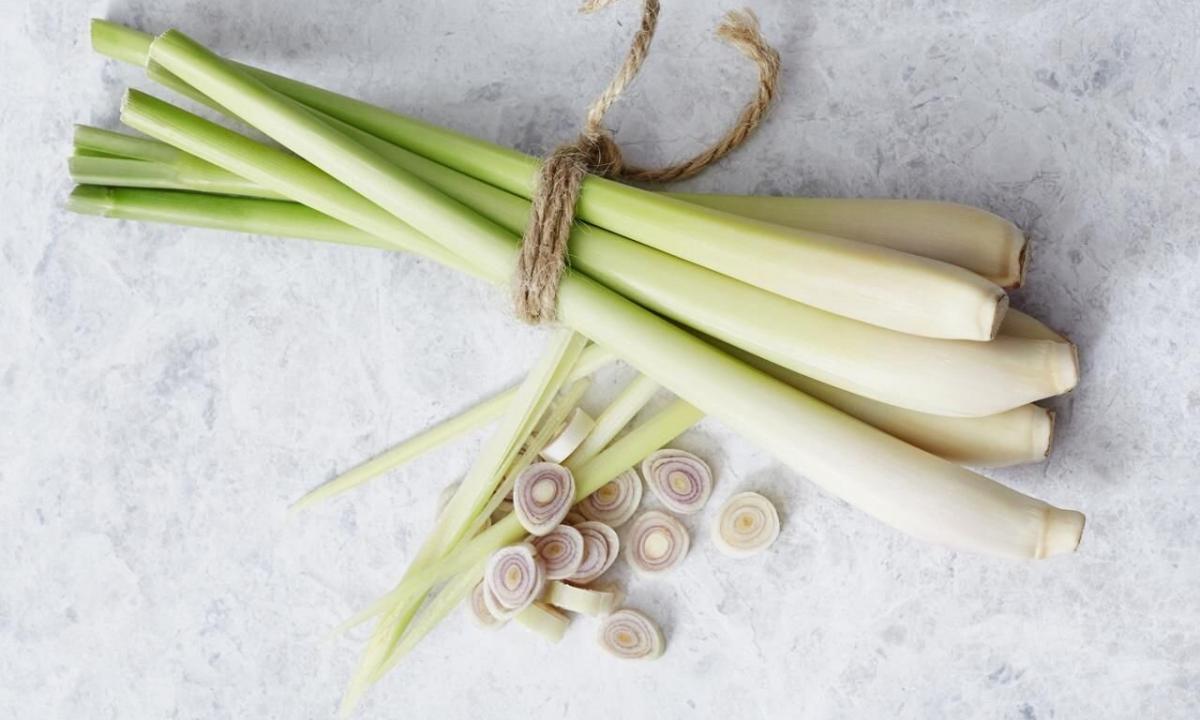 Lemongrass: nutrition value, caloric content, useful properties and use in cookery