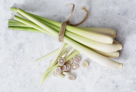 Lemongrass: nutrition value, caloric content, useful properties and use in cookery