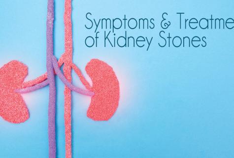Birch kidneys: from what help and that treat when collect and how to apply