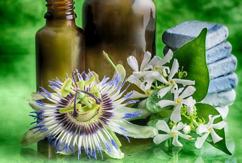 "Passionflower: from what helps also that treats how to use in traditional medicine