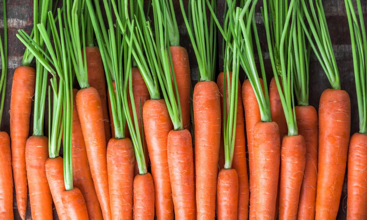 Carrot tops of vegetable: waste or useful product?"