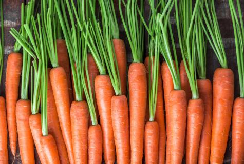Carrot tops of vegetable: waste or useful product?