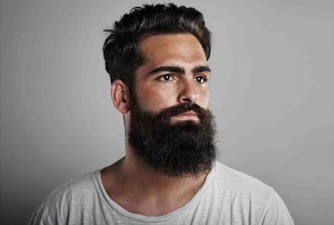 Beard of a year: instruction