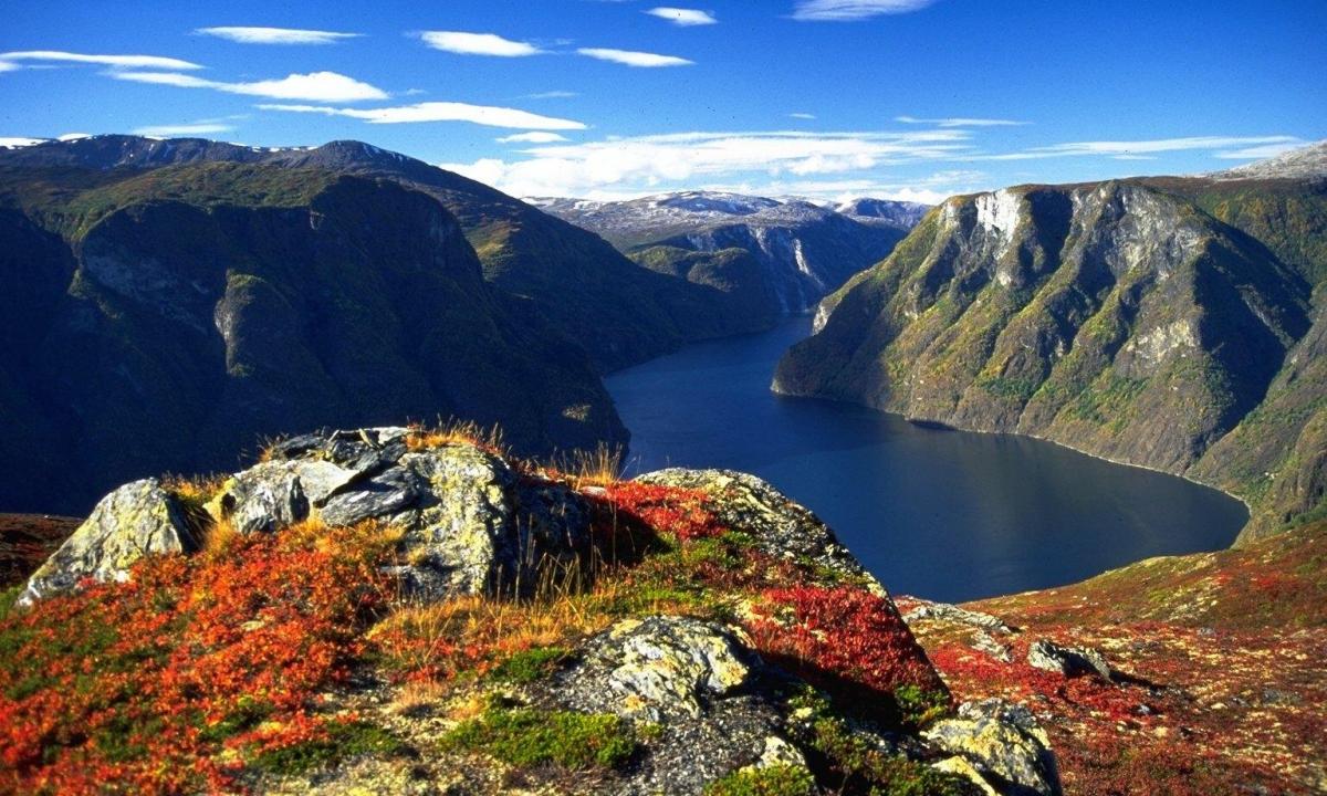 Norwegian fjords