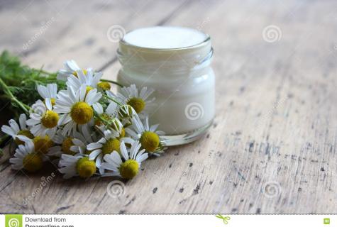 House cosmetics for the person on the basis of a camomile