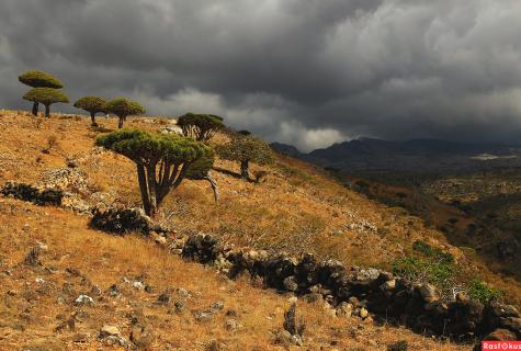Archipelago of Socotra
