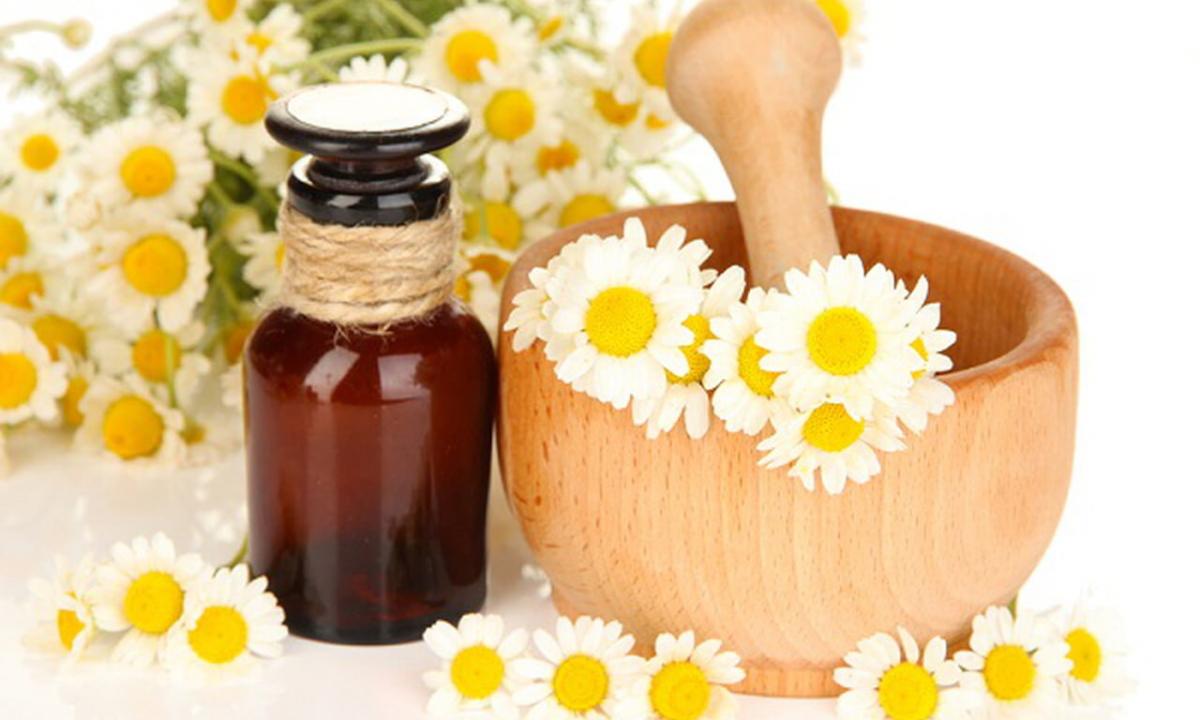 Than essential oil of a camomile and as it can be used in the cosmetic purposes is useful