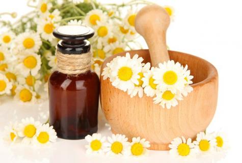 Than essential oil of a camomile and as it can be used in the cosmetic purposes is useful