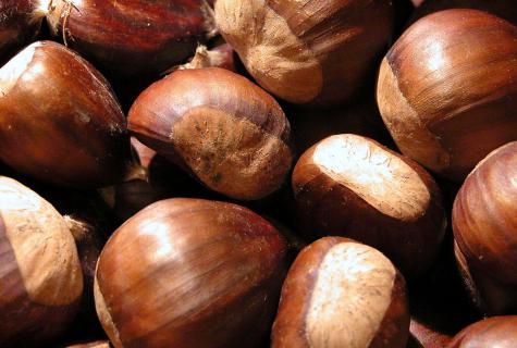 Medicinal properties of a chestnut