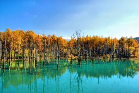Blue pond Biya