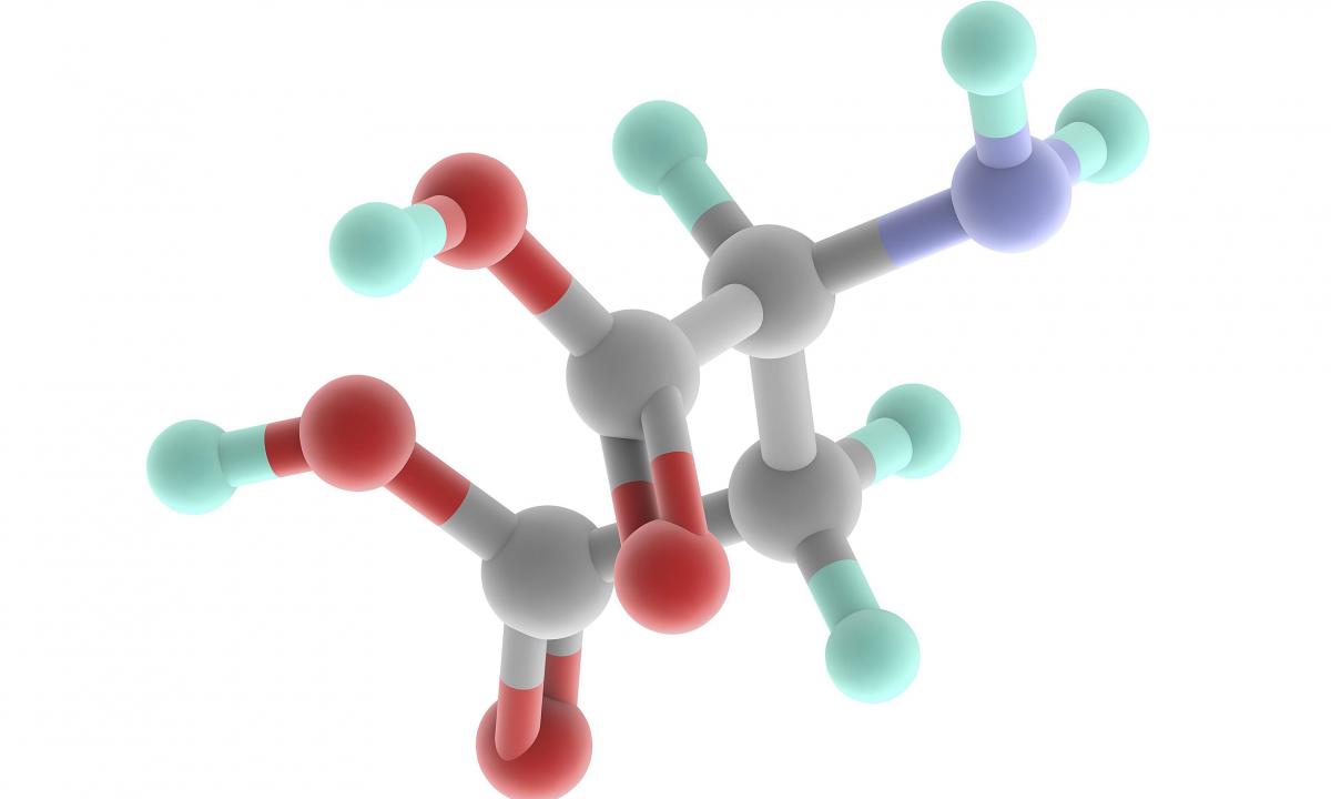 Advantage and value of hydroamino acid threonine for a human body"