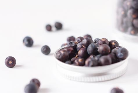 Juniper berries: from what help how to use in the medical purposes