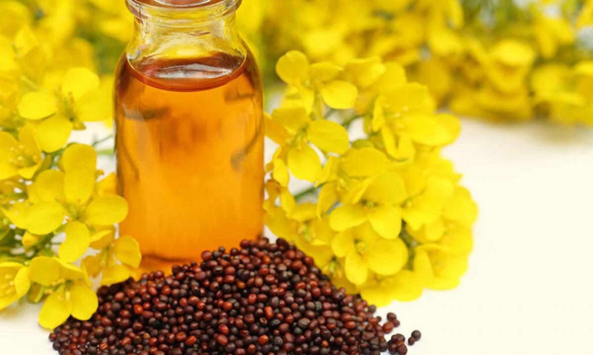 "Mustard oil: than it is useful how to use in the medical and cosmetology purposes