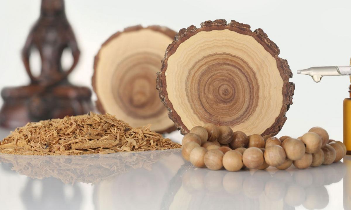 Essential oil of a sandalwood: than it is useful and how to use