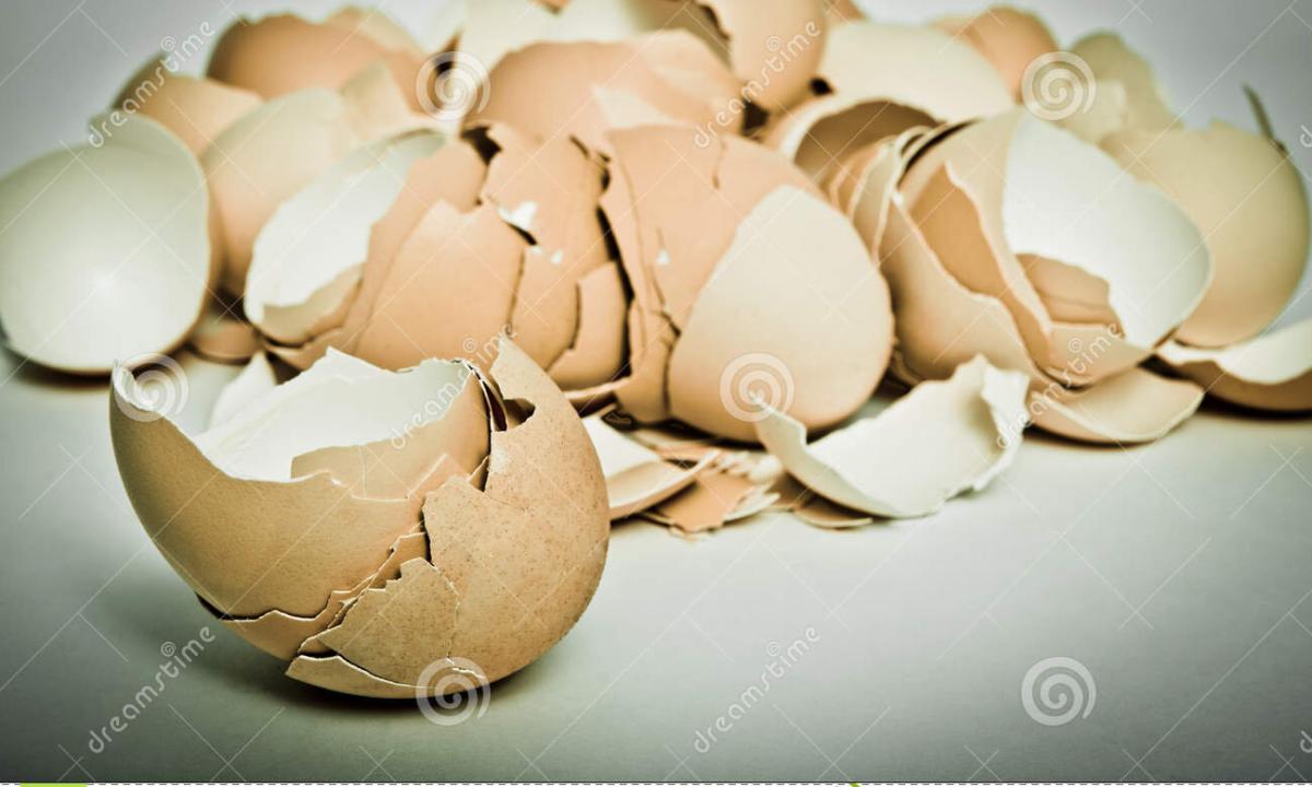 "Than the egg shell is useful to the person: application in traditional medicine, cosmetology, economy