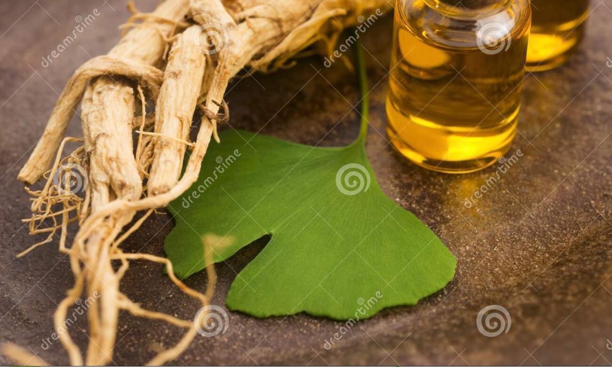 "Ginseng tincture: from what helps how to make and drink