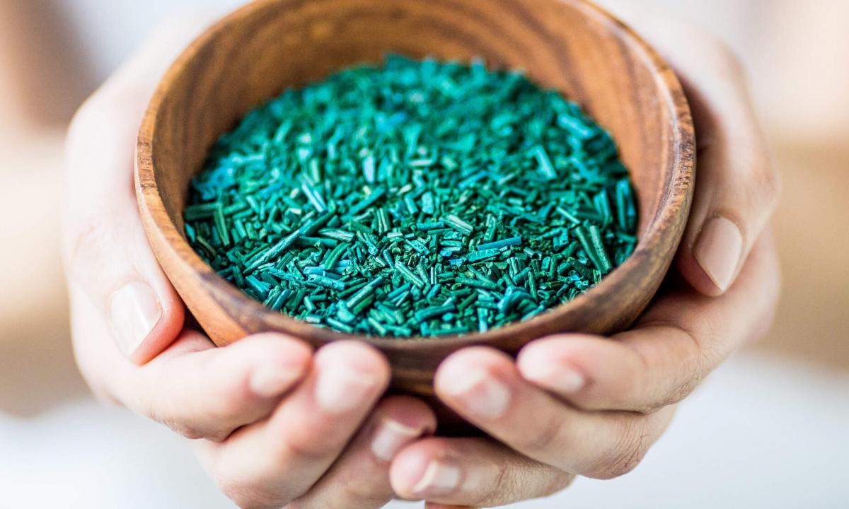 What is a spirulina and than it is useful