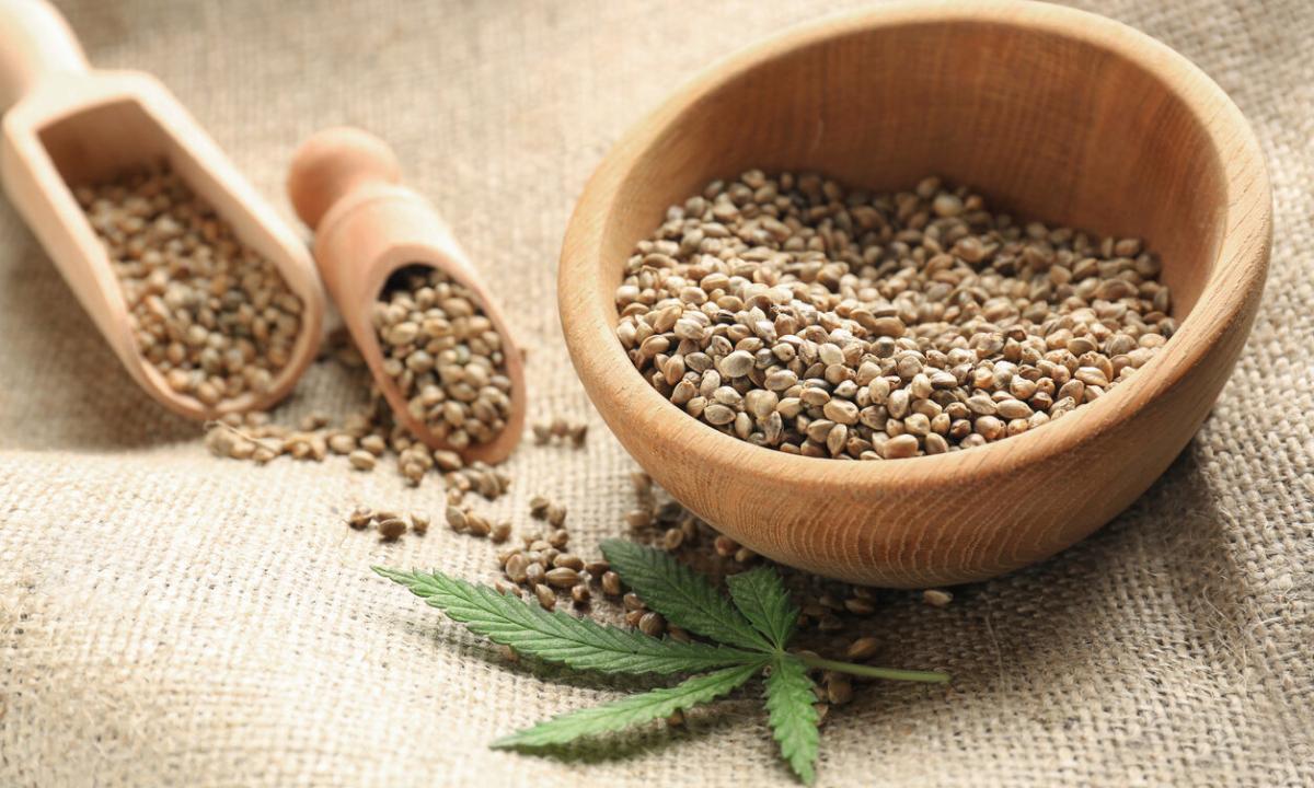 Hempseed oil: than it is useful for what and how to use