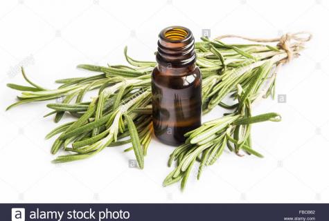 Essential oil of rosemary: than it is useful as well as for what use