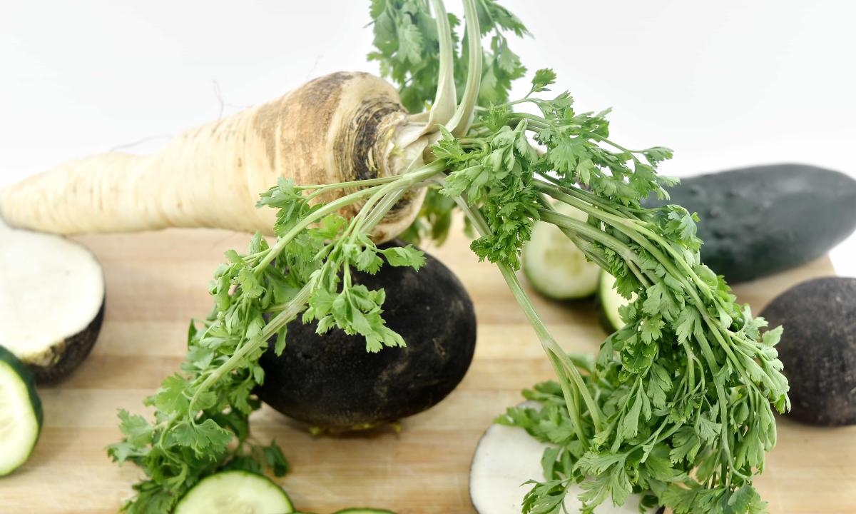 Horse-radish (root and leaves) — from what helps how to use in the medical purposes, recipes