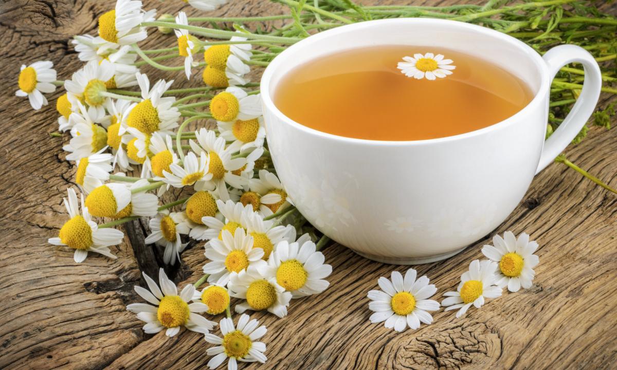 Than it is useful and as it is correct to make tea from a camomile