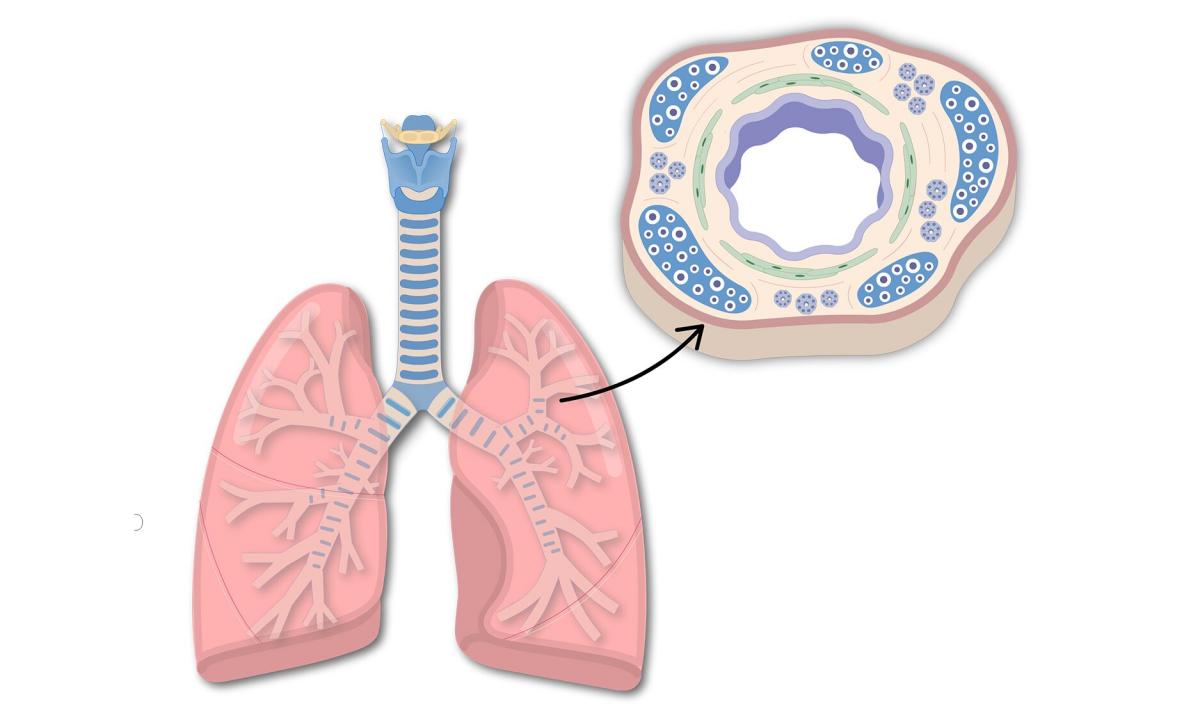 Respiratory gymnastics at bronchial asthma