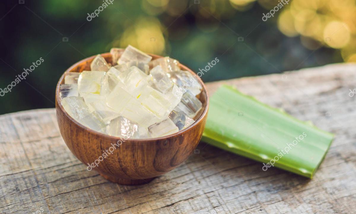 Aloe: from what helps also that treats how to use in the medical and cosmetic purposes