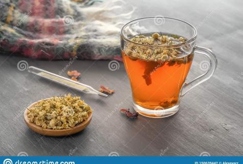 Pharmaceutical camomile: from what helps also that treats how to prepare and apply