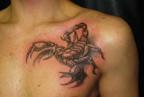 What means tattoo - scorpion on shoulder