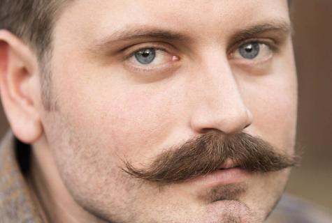 How to accelerate growth of mustache