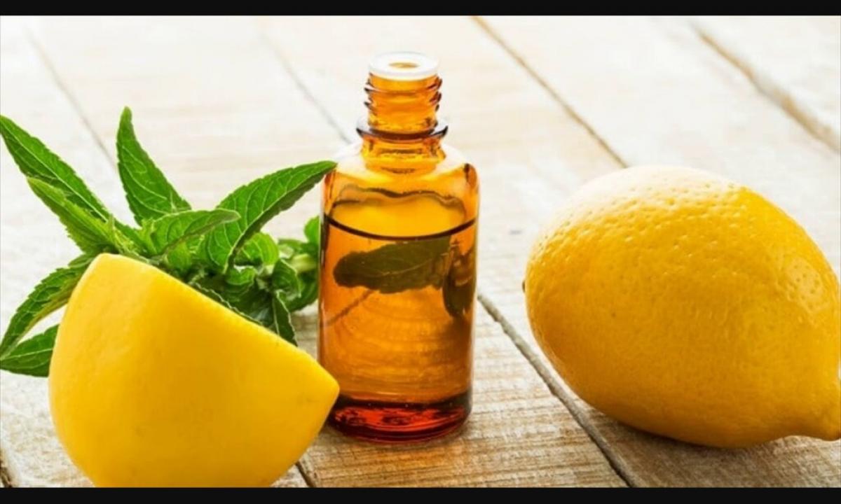Properties of essential oil of lemon, its application