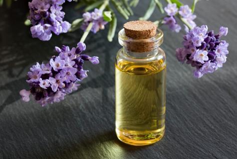 Overview of essential oils