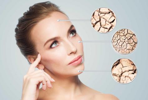 How to choose winter foundation for dry skin