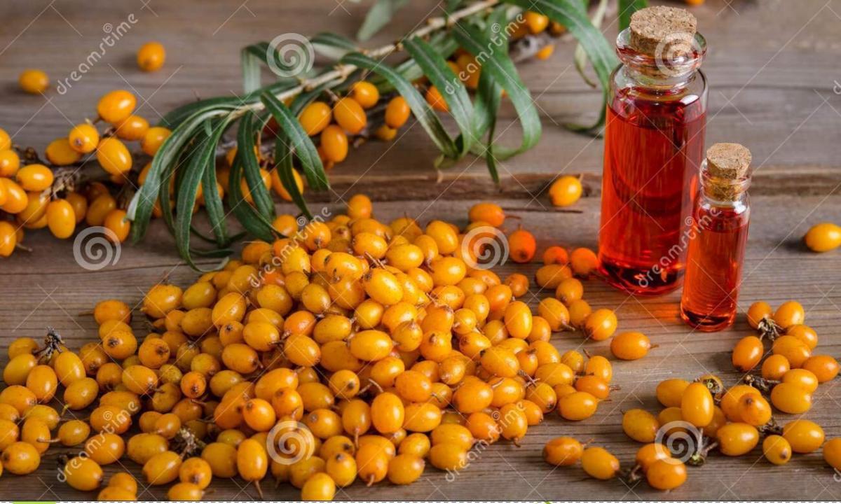 Sea-buckthorn oil and oil of thuja: useful properties