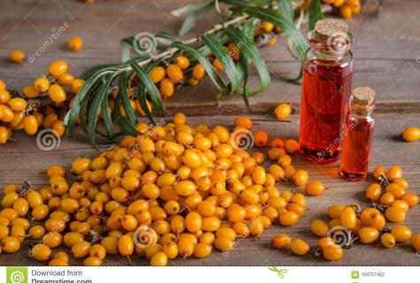Sea-buckthorn oil and oil of thuja: useful properties