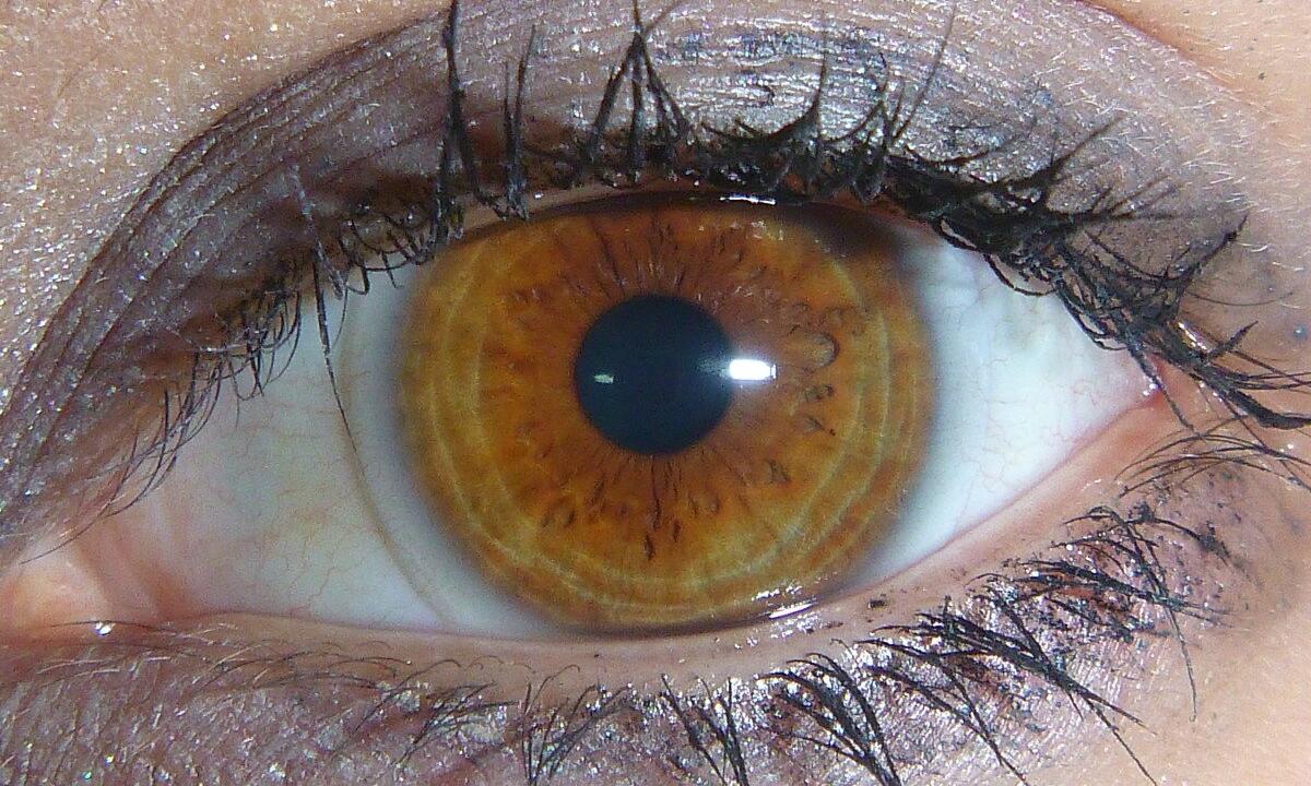 How visually to increase brown eyes