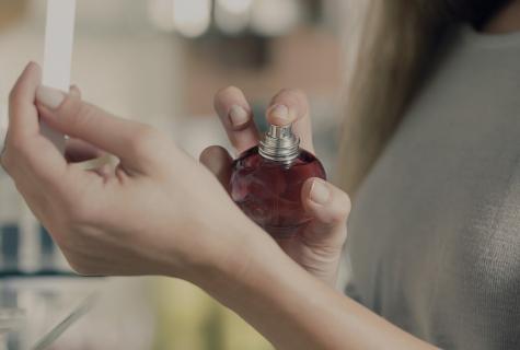 Secrets of firmness of perfume: how to choose where and how to put