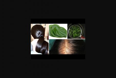 How quickly to grow hair by means of folk remedies