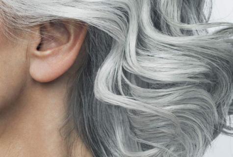 What paint paints over gray hair