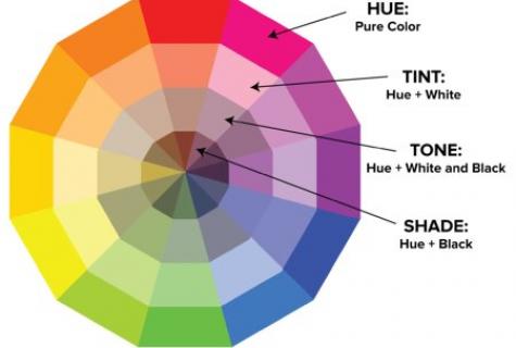 Smart hair, saturated color: how to choose means for coloring?