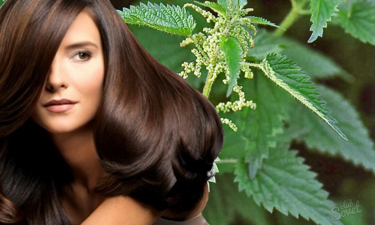 How to strengthen hair by means of nettle